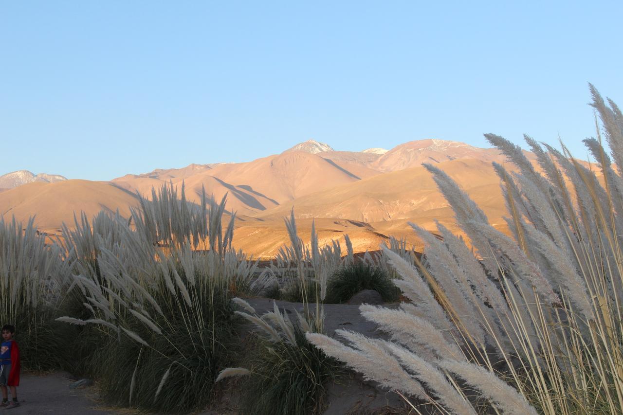 Cabana Nachitor San Pedro de Atacama Exterior foto